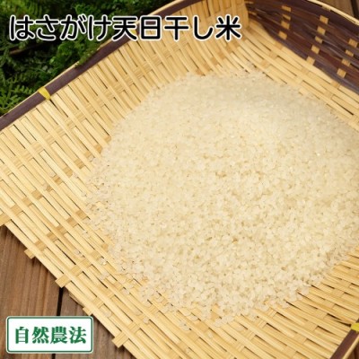 【令和6年度産】田口さんちのはさがけ天日干し米(まっしぐら) 精米 5kg 自然農法 (青森県 だんごっこファーム) 産地直送