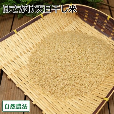 【令和6年度産】田口さんちのはさがけ天日干し米(まっしぐら) 玄米 5kg 自然農法 (青森県 だんごっこファーム) 産地直送