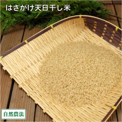 【令和6年度産】田口さんちのはさがけ天日干しもち米(アネコもち) 玄米 1kg 自然農法 (青森県 だんごっこファーム) 産地直送