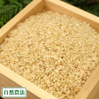 【令和6年度産】 河原さんのお米 玄米30kg 自然農法(岡山県 河原農園) 産地直送