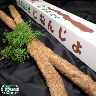 有機 自然薯 『特選』贈答用 約1.5kg(2〜3本) 有機JAS (熊本県 那須自然農園) 産地直送