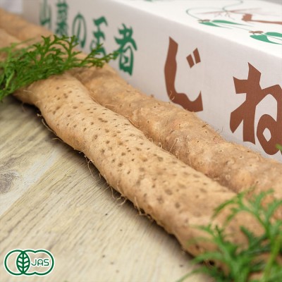 有機 自然薯 贈答用 約1.2kg(1〜3本) 有機JAS (熊本県 那須自然農園) 産地直送