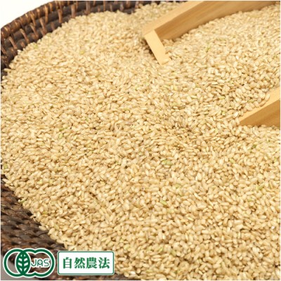 【令和6年度産】金のいぶき 玄米 5kg 有機JAS 自然農法 (宮城県 仙台たんの農園) 産地直送