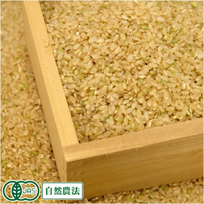 【令和6年度産】有機米 ササニシキ 玄米 5kg 有機JAS 自然農法 (宮城県 仙台たんの農園) 産地直送