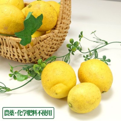 【無選別】広島県産(とびしま)レモン 3kg 無・無 (広島県 とびしま農園) 産地直送