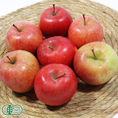 【小玉・訳あり】キュートアップル(オーガニック) 有機 りんご(赤) 2.5kg 有機JAS (青森県 北上農園)