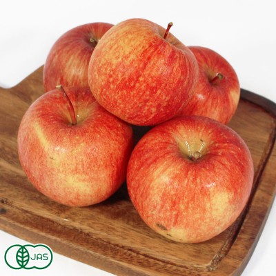 【小玉・A品】キュートアップル(オーガニック) 有機 りんご(赤) 2.5kg 有機JAS (青森県 北上農園)